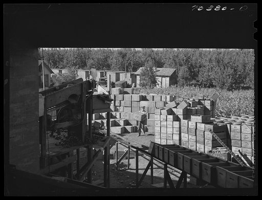 Untitled photo, possibly related to: Crates for packing pears in front of pear packing establishment. Hood River, Oregon