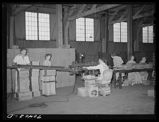 Labeling and packing canned salmon. Astoria, Oregon