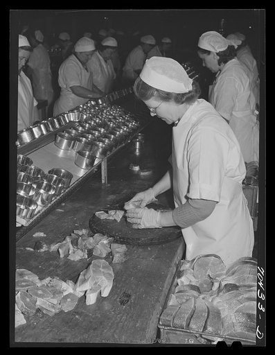 Untitled photo, possibly related to: Putting salmon into cans. Columbia River Packing Association, Astoria, Oregon. During the peak of the run this fall, this plant runs twenty-four hours a day