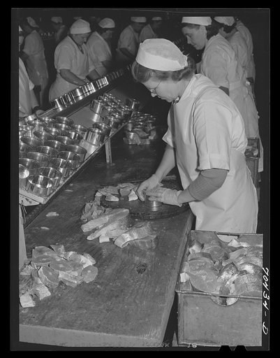 Putting salmon into cans. Columbia River Packing Association, Astoria, Oregon. During the peak of the run this fall, this plant runs twenty-four hours a day