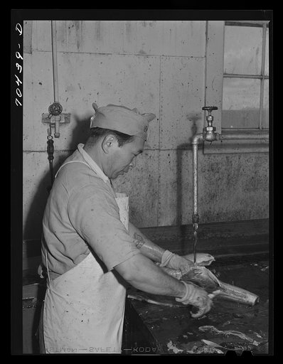 Salmon butcher. Columbia River Packing Association, Astoria, Oregon
