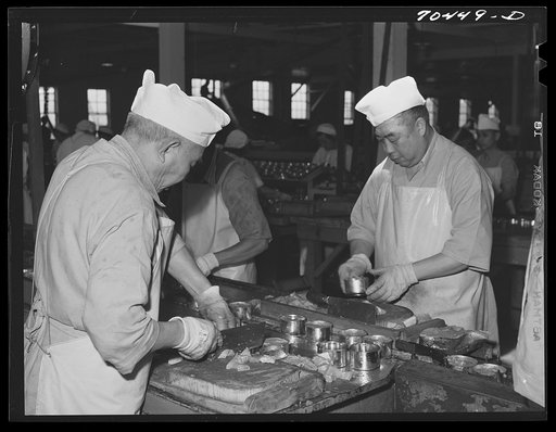 Putting salmon into cans. Columbia River Packing Association, Astoria, Oregon