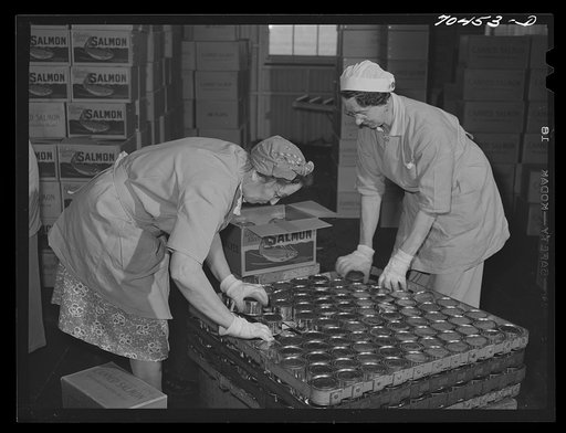 Packing canned salmon into cans at the Columbia River Packing Association. Astoria, Oregon