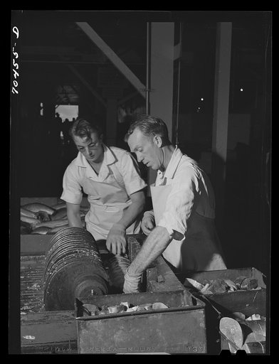 Untitled photo, possibly related to: Slicing salmon for canning at the Columbia River Packing Association. Astoria, Oregon