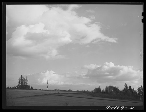 Landscape. Willamette Valley, Oregon