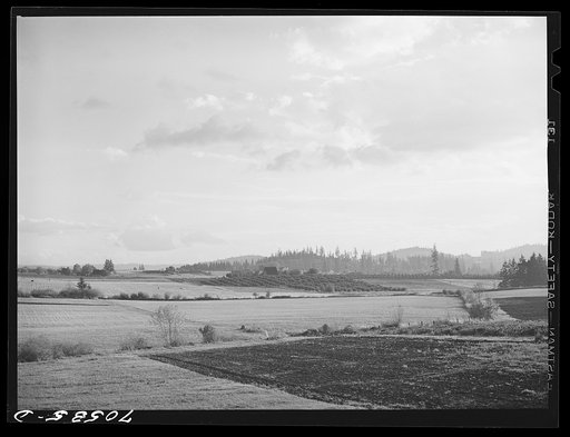 Farmland in the Willamette Valley, Oregon, a rich truck producing area, Clackamas County, Oregon