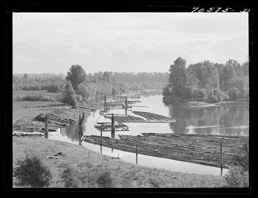 Untitled photo, possibly related to: Log rafts in Columbia River. Cowlitz County, Washington