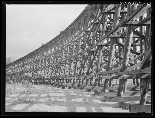 Wooden trestle for railroad. Cowlitz County, Washington
