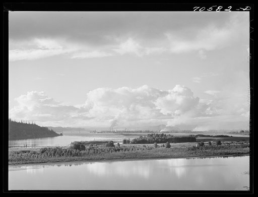 Columbia River. Sawmills at Longview, Washington, in background. Cowlitz County, Washington