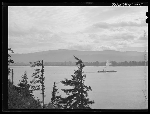 Barge on Columbia River. Cowlitz County, Washington