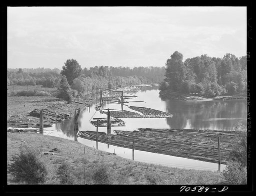 Log raft in Columbia River. Cowlitz County, Washington