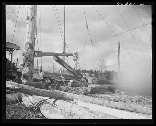 Untitled photo, possibly related to: Long Bell Lumber Company, Cowlitz County, Washington. Yarding logs