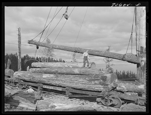 Long Bell Lumber Company, Cowlitz County, Washington. Fir logs loaded on railroad flatcar for removal from woods