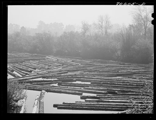 Cowlitz County, Washington. Log pond