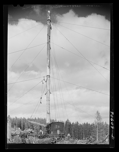 Untitled photo, possibly related to: Long Bell Lumber Company, Cowlitz County, Washington. Spar tree used in lumbering operations