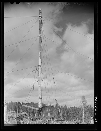 Long Bell Lumber Company, Cowlitz County, Washington. Spar tree used in lumbering operations