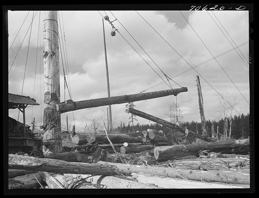 Long Bell Lumber Company, Cowlitz County, Washington. Yarding logs