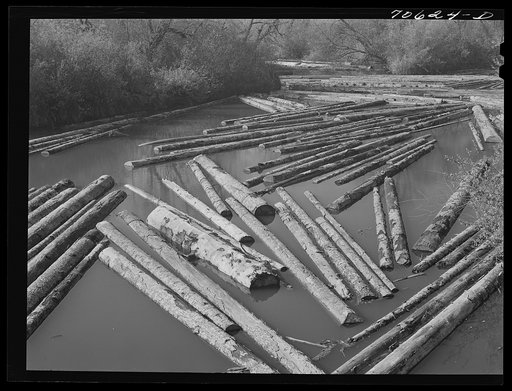 Long Bell Lumber Company, Cowlitz County, Washington. Log pond