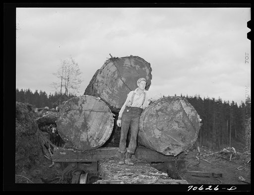 Untitled photo, possibly related to: Long Bell Lumber Company, Cowlitz County, Washington. Lumberjack leaning against logs on railroad flatcar