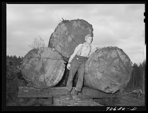 Long Bell Lumber Company, Cowlitz County, Washington. Lumberjack leaning against logs on railroad flatcar