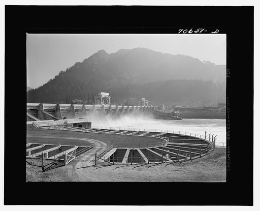 Bonneville Dam and fish ladders, Oregon