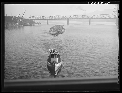 Log rafts are towed by tugs in the Willamette River. Portland, Oregon
