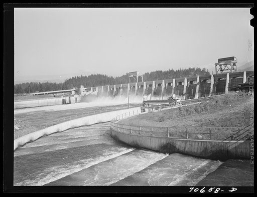 Untitled photo, possibly related to: Fish ladders and Bonneville Dam, Oregon
