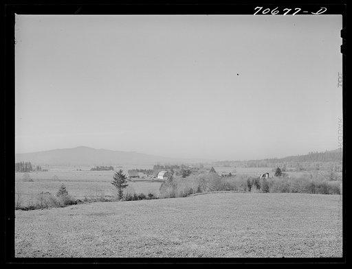 Tillamook County, Oregon. Farmstead in the prosperous dairying area