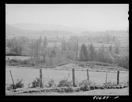 View of Tillamook County, Oregon, a dairying section