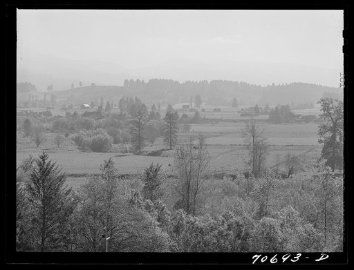 View in Tillamook County, Oregon