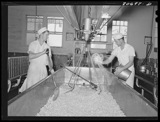 Tillamook cheese plant. Tillamook County, Oregon. Salting the curd in process of making cheese