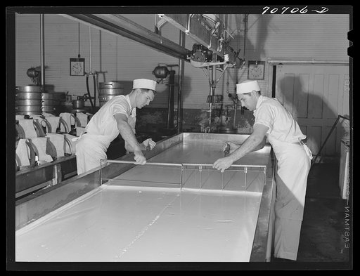Breaking up curdling milk is one of the first steps of cheesemaking. Tillamook cheese plant, Tillamook, Oregon. This also distributes evenly the lactic ferment starter