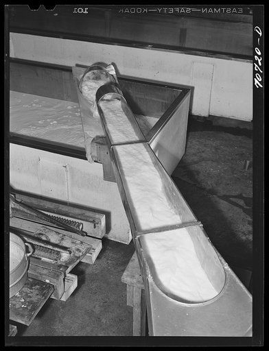 Milk pouring into vats where it will be processed into cheese. Tillamook cheese plant, Tillamook, Oregon