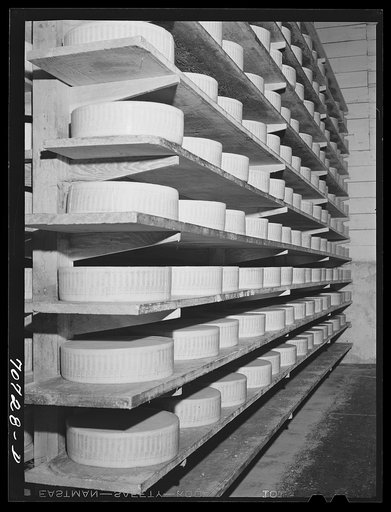 Tillamook cheese plant, Tillamook, Oregon. Cheese aging. Cheese made in Tillamook county had a value of 1,765,482 dollars in 1940
