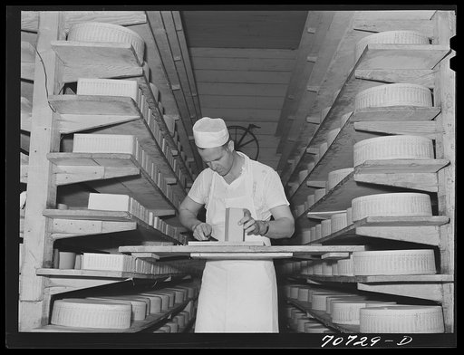 Tillamook cheese plant, Tillamook, Oregon. Trimming mold off aging cheese