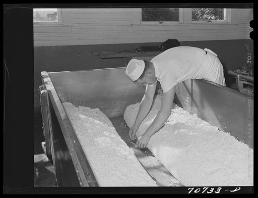 Pushing the cheddared curd to the sides so that the whey can run off through the middle aisle. Tillamook cheese plant, Tillamook, Oregon