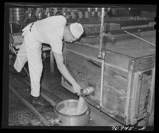 Draining off the whey in making cheese at the Tillamook cheese plant. Tillamook, Oregon