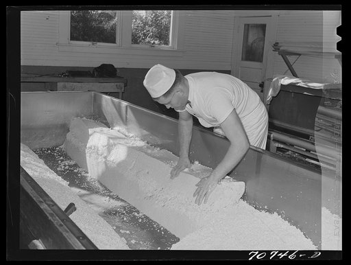 Untitled photo, possibly related to: Pushing the cheddared curd to the sides so that the whey can run off through the middle aisle. Tillamook cheese plant, Tillamook, Oregon