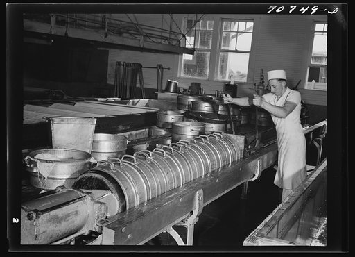 Applying pressure to curd in molds. This process removes moisture and forms a close texture in the cheese. Tillamook cheese plant, Tillamook, Oregon