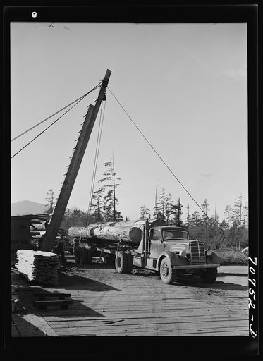 Logs arriving at mill. Tillamook, Oregon