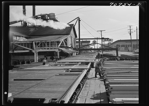 Cut lumber coming from sawmill at Tillamook, Oregon
