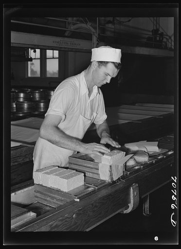 Putting the curd into molds for pressure. Tillamook cheese plant, Tillamook, Oregon