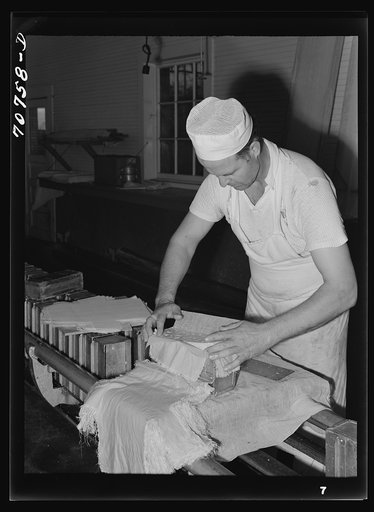 Putting curd into molds. Tillamook cheese plant, Tillamook, Oregon