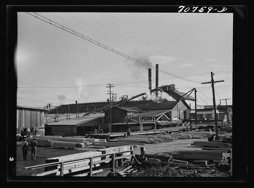Sawmill. Tillamook, Oregon