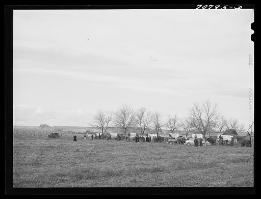 Lineup of wagons to be used in cornhusking contest. Ontario, Oregon