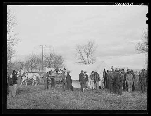 Untitled photo, possibly related to: Cornhusking contest. Ontario, Oregon