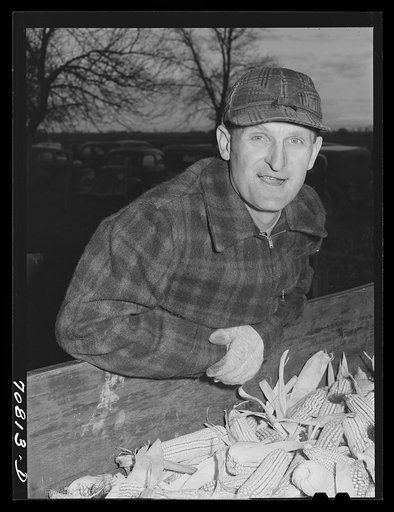 Contestant at cornhusking contest. Ontario, Oregon