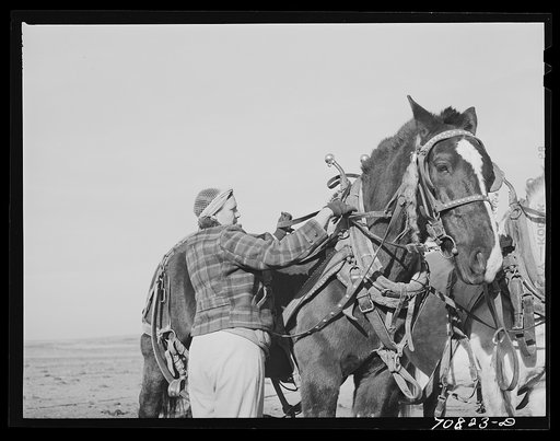 Widow who farms on Black Canyon Project. Canyon County, Idaho