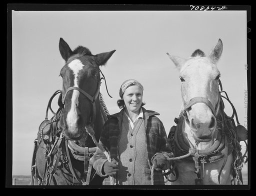 Farm widow who farms on Black Canyon Project. Canyon County, Idaho