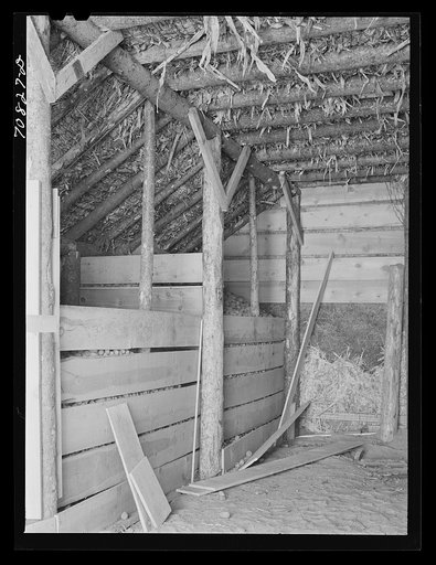 Feed barn of Black Canyon Project Farmer. Canyon County, Idaho